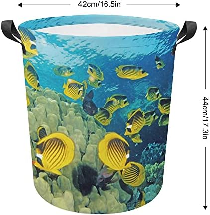 Foduoduo košarica za pranje rublja Fish morski svijet rublja rublja s ručkama preklopljiva vreća za odlaganje prljave odjeće za spavaću