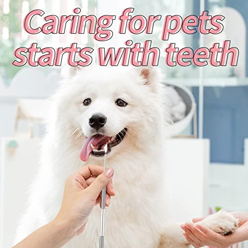 ; Sredstvo za čišćenje zuba za kućne ljubimce za pse skaler i strugač za zube od nehrđajućeg čelika silikonske četkice za zube za kućne