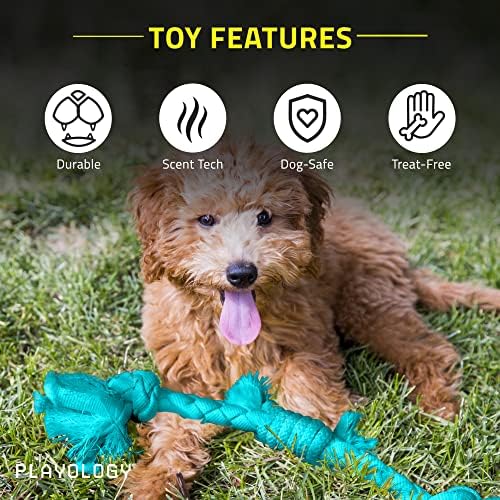 Igračke za senzorni razvoj, male mekane igračke za žvakanje za pse s piskavicom za štenad 8-16 tjedana-atraktivna igračka s mirisom