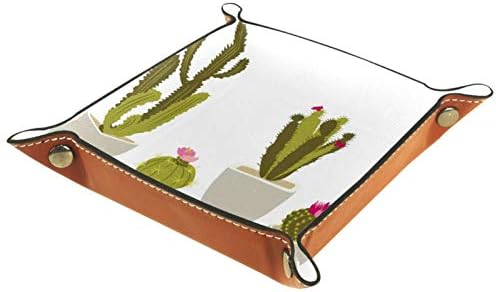 Lyetny ručno nacrtani lončanik Cactus Organizator za skladištenje kutija za skladištenje kadice kadijske radne površine Promijenite