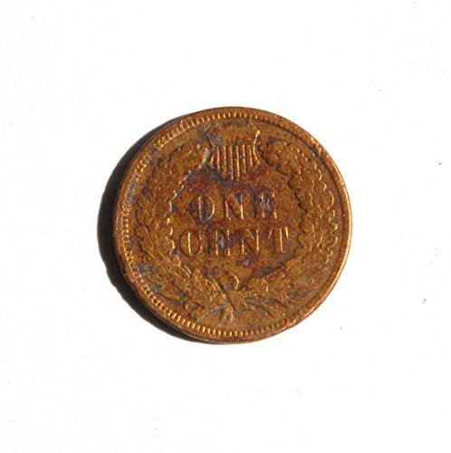 1890. 19. stoljeće Sjedinjene Države Amerike 1 Cent Indian Head Cent Choin Choin vrlo fini detalji