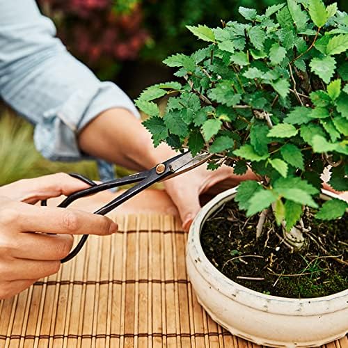 Komplet za Bonsai drvo, 24 kom set alata za bonsai, set alata za obrezivanje sukulenata u vrtu uključuje škare za rezidbu, vrtlarske