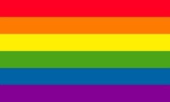Neoplex 3 'x 5' Rainbow Gay Novelt Flag