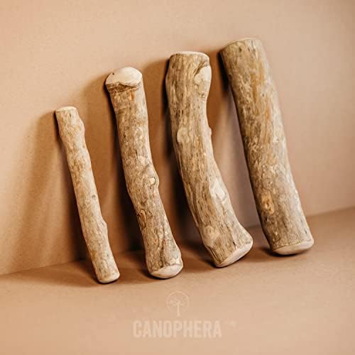 Canophera Coffee Wood Dog Chew štapići za uobičajena žvakanja - Veličina velika